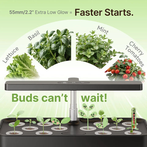 Indoor Hydroponics Garden System With 12 Pods And 24W LED Grow Light showcasing herbs and sprouts