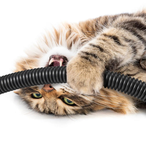 Cat playing with black 1 Inch Split Wire Loom Tubing Kit 60 Feet Total 2 Rolls Of 30 Ft Each Flexible Electrical Conduit