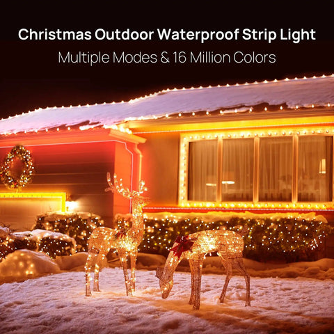 Two 32.8ft LED Rope Lights Bundle, 65.6ft Total, IP65 Waterproof Outdoor Neon Strips With 640 LEDs, 360lm Brightness, 24V Plug In, App And RF Control, Dimmable, Music Sync, Not Cuttable Or Extendable