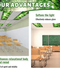 Eight Pack Magnetic Fluorescent Light Covers For Classroom And Office Ceilings 4 X 2 Feet, forest style installed in classrooms.