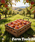 Wooden crate filled with ripe peaches in a sunny orchard, surrounded by rows of peach trees.