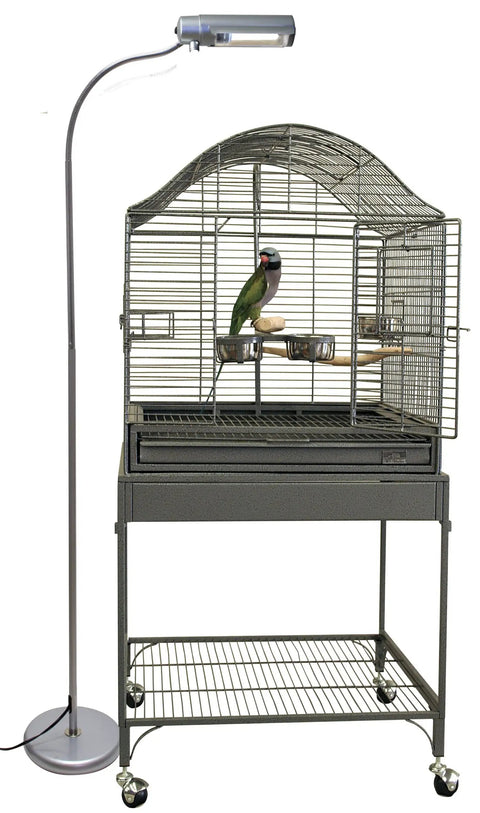 Avian Sun Deluxe Floor Light Stand For Birds With Adjustable Gooseneck And Stable Base next to birdcage