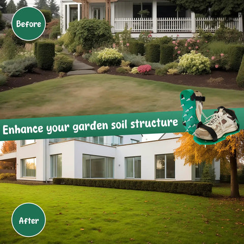 Before and after garden transformation with enhanced soil structure using garden tool