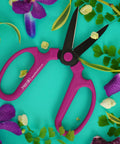 Floral Scissors Set Of 3 With Carbon Steel Blades For Precise Flower Pruning And Arranging, pink shears in foliage background