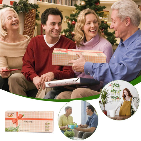 People exchanging gifts with Your Go To Wall Hanging Propagation Station with Wooden Stand shown in inset images.