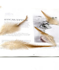 200 Pieces 5 To 7 Inch Nature Saddle Hackle Rooster Feathers for Crafts displayed on open magazine page