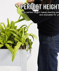 Person watering plants in a Raised Garden Bed Outdoor Planter Box On Wheels With Sturdy Legs For Vegetables Flowers Tomatoes And Herbs.
