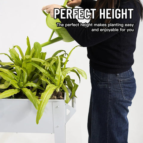 Person watering plants in a Raised Garden Bed Outdoor Planter Box On Wheels With Sturdy Legs For Vegetables Flowers Tomatoes And Herbs.