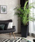 Living room scene with a large plant in a 16 Inch Tall Planters Set Of 2 For Indoor And Outdoor Use In Black With Drainage Holes Inner Bucket And Water Level Monitors So You Can Water Smarter And Keep Your Porch Or Patio Plants Happy next to a modern sofa.