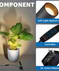 Two Pack 3W Indoor Spotlight Uplights With 10 Ft Cord Dimmable 3000K 4000K 5000K LED Floor Spotlights lighting a plant