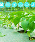 Heavy Duty 6 By 300 Ft Weed Barrier Landscape Fabric Three Point Two Oz used as ground cover for growing plants.