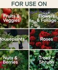 All Natural Insect And Fungicide For Plants Indoor And Outdoor Protection Against Powdery Mildew Spider Mites Aphids Whiteflies And Fungus Gnats Safe For Vegetables And Lawns Concentrate Spray 16 Oz showing usage on various plants including vegetables and flowers.