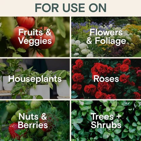 All Natural Insect And Fungicide For Plants Indoor And Outdoor Protection Against Powdery Mildew Spider Mites Aphids Whiteflies And Fungus Gnats Safe For Vegetables And Lawns Concentrate Spray 16 Oz showing usage on various plants including vegetables and flowers.