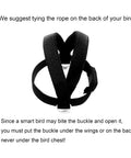 Bird Harness With Buckle Clip And Leash For Small Birds Outdoor Flying Kit black straps and buckle close-up.