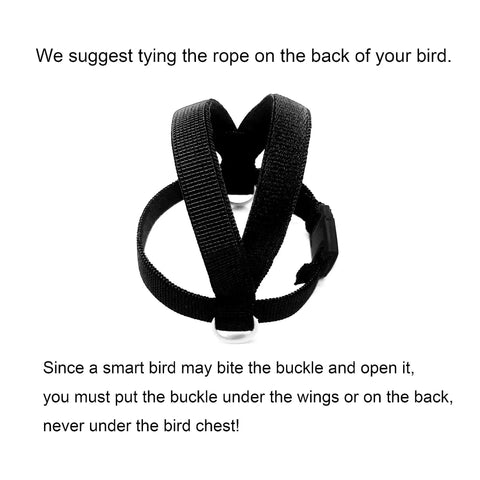 Bird Harness With Buckle Clip And Leash For Small Birds Outdoor Flying Kit black straps and buckle close-up.