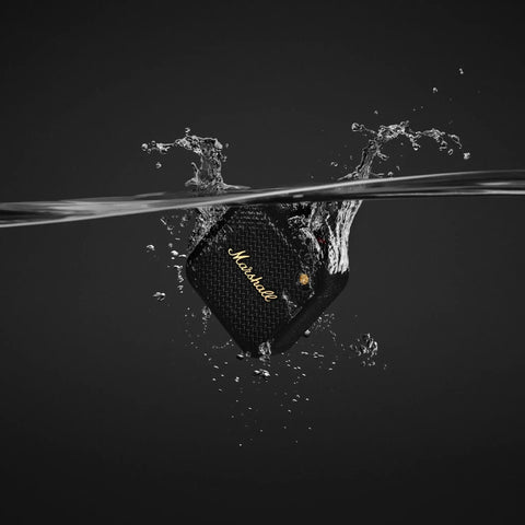 Willen II Portable Bluetooth Speaker With Rugged Waterproof And Dust Proof Design submerged in water, black and brass.
