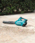 No Nonsense 36V Brushless Cordless Leaf Blower With Beast Mode Airflow and Smooth Handling for Yard Cleanup displayed outdoors on a stone surface.