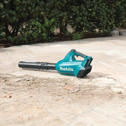 No Nonsense 36V Brushless Cordless Leaf Blower With Beast Mode Airflow and Smooth Handling for Yard Cleanup displayed outdoors on a stone surface.