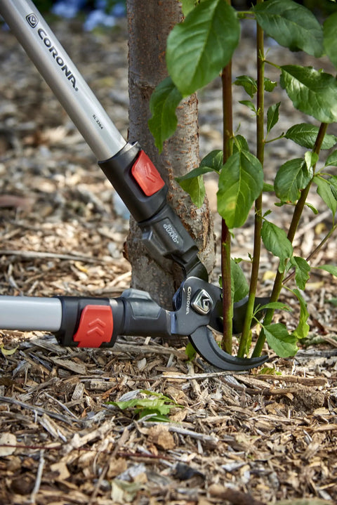 Extendable Bypass Lopper With ComfortGEL Grips 28 To 35 Inch Handle Nonstick Blade 1-1/2 Inch Cut Capacity pruning shrub