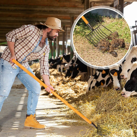 Farmer using Three Sets Pitch Forks For Gardening With Long 47.2 Inch Hardwood Handles 9 Tine Wide Mulch Forks for hay