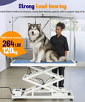 Huge Heavy Duty Electric Pet Grooming Lift Table With Double Scissor Blue Top, 264 LBS capacity, with dog standing on it.