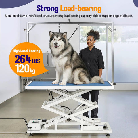 Huge Heavy Duty Electric Pet Grooming Lift Table With Double Scissor Blue Top, 264 LBS capacity, with dog standing on it.