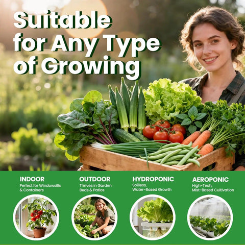 Massive 35 Variety Heirloom Seed Pack With Over 21,000 Non GMO Seeds For Home Gardeners Featuring Vegetables Fruits And Herbs