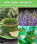 Herbal Tea Seed Pack For Planting With 9 Varieties Heirloom Non GMO Herbs featuring plants and herbal tea imagery.