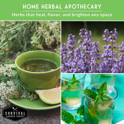 Herbal Tea Seed Pack For Planting With 9 Varieties Heirloom Non GMO Herbs featuring plants and herbal tea imagery.