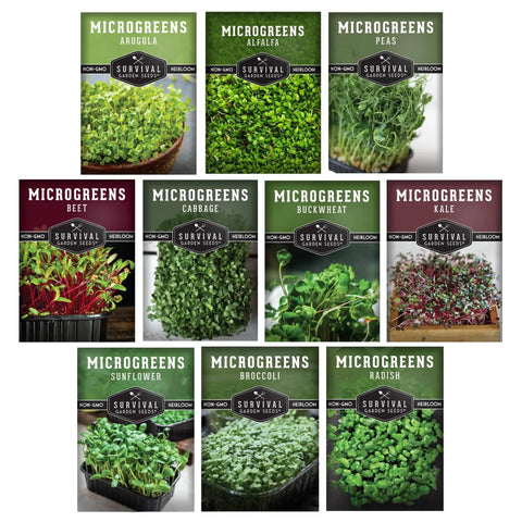 Indoor Microgreen Seeds Variety Pack With 10 Heirloom Types For Easy At Home Sprouting In 7 To 14 Days Broccoli Pea Sunflower Radish Kale Arugula And More Non GMO High Germination For Fresh Salads Smoothies And Sandwiches seed packets displayed