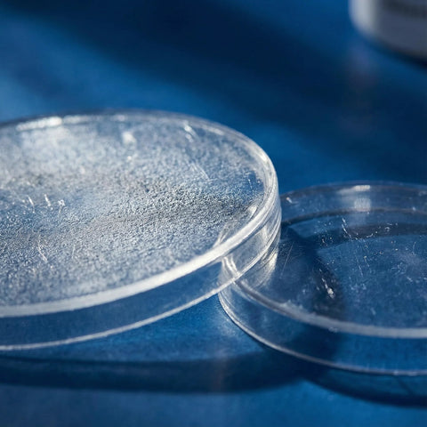 Close-up of NOLITOY 2pcs diaphragm replacement set, clear plastic diaphragms for pediatric and adult stethoscopes