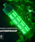 Green Underwater Fishing Light For Night Angling, Submersible IP68 LED Glow 3900 Lumens, 12V 30W with fish swimming near