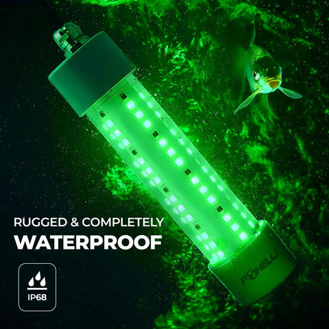 Green Underwater Fishing Light For Night Angling, Submersible IP68 LED Glow 3900 Lumens, 12V 30W with fish swimming near