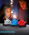 Glow In The Dark Crystal Growing Kit For Kids Ages Eight To Twelve With LED Light Up Display with three crystal clusters