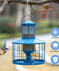 Blue metal squirrel-proof bird feeder with 2.8 lb seed capacity and cage tube tray, hanging outdoors, attracting songbirds.