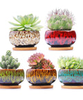 Five Pack Cute Ceramic Succulent Planters With Drainage And Attached Saucers, Round 4x2 Inches, Perfect Desk Or Windowsill Garden Decor, Great Gift For Plant Lovers, Plants Not Included