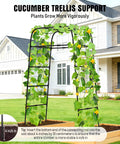 7ft Garden Arch Trellis For Climbing Plants Tough As Nails Heavy Duty Steel Outdoor Arbor For Cucumber Tomatoes And Other Vines