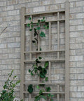 Sturdy No-Fuss Indoor And Outdoor Garden Trellis With Ground Anchors For Vines, climbing plants attached on beige trellis.