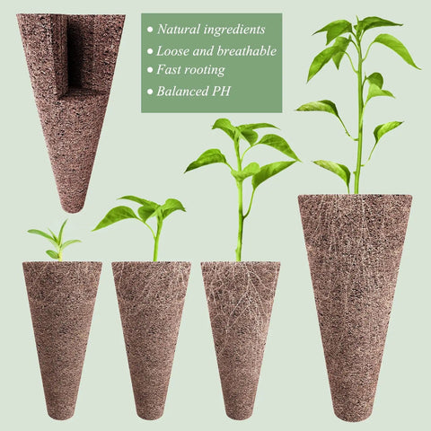 Bio peat sponges from 66-Piece Hydroponic Seed Pod Kit For Indoor Gardens Ready-To-Go All-In-One System in various seedling growth stages.