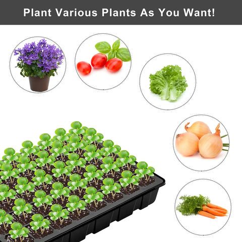 Six Pack Seed Starter Tray Kit With 40 Cell Trays And Humidity Dome, 240 Cells Total, Mini Propagator Base For Greenhouse Growers, Plant Nursery Pots Black, Includes Labels And Growing Tools