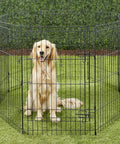 Golden retriever in a black metal wire playpen on grass with green hedge background.