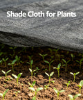 Black Shade Cloth 70 To 80 Percent UV Protection 20 Feet By 20 Feet Sun Mesh Net over garden seedlings