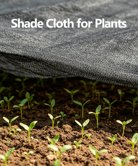 Black Shade Cloth 70 To 80 Percent UV Protection 20 Feet By 20 Feet Sun Mesh Net over garden seedlings