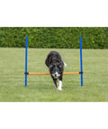 Dog using Pro Grade Dog Agility Hurdle With Height Adjustable Crossbar for training outdoors on grass