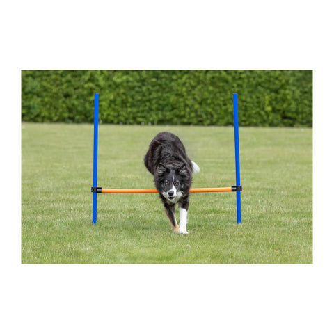 Dog using Pro Grade Dog Agility Hurdle With Height Adjustable Crossbar for training outdoors on grass