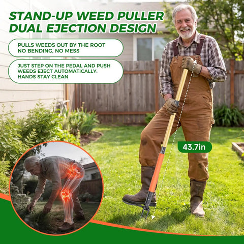 Stand Up Weed Puller Tool With 4-Claw Steel Head And Dual Eject, 43.7 Inch Bamboo Handle, Deep Root Remover For Lawn Garden Yard, Anti-Slip Pedal, No Bending Back Pain, Easy Weeding in use on lawn