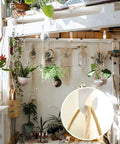 Interior with hanging plants and decorations on drop ceiling using 20 Pairs Drop Ceiling Hooks Heavy Duty Aluminum T Bar Hooks.