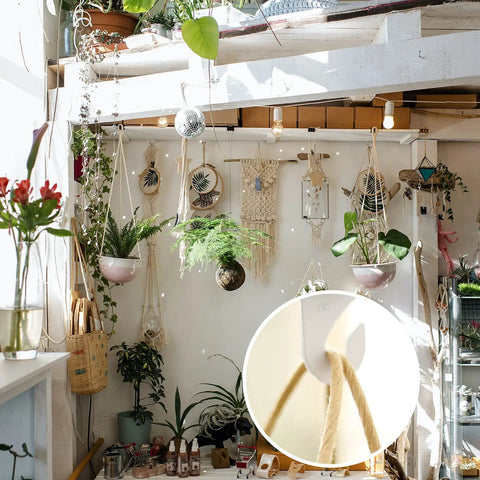 Interior with hanging plants and decorations on drop ceiling using 20 Pairs Drop Ceiling Hooks Heavy Duty Aluminum T Bar Hooks.