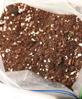 Premium Succulent And Cactus Soil Mix For Optimal Drainage And Dry Conditions Growth With Fresh Organic Formula Airy Texture