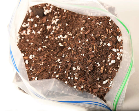 Premium Succulent And Cactus Soil Mix For Optimal Drainage And Dry Conditions Growth With Fresh Organic Formula Airy Texture